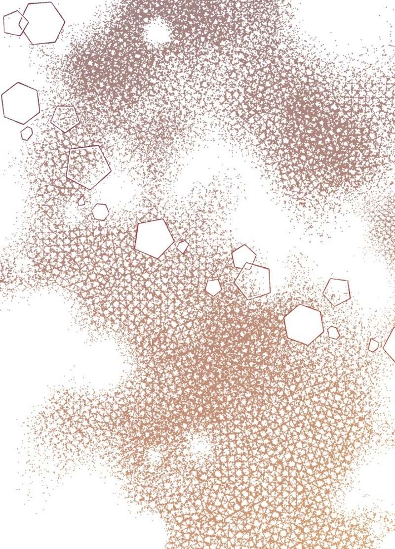 P81