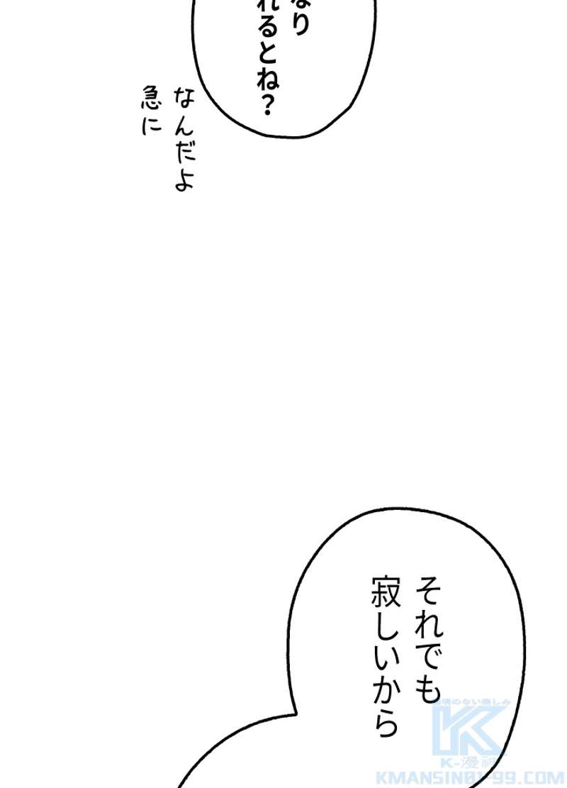 P66