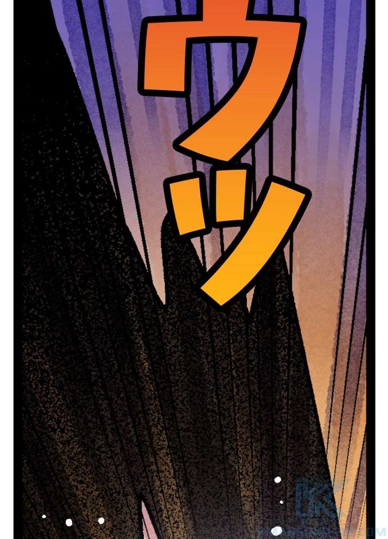 P66