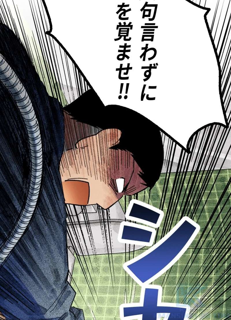 P46