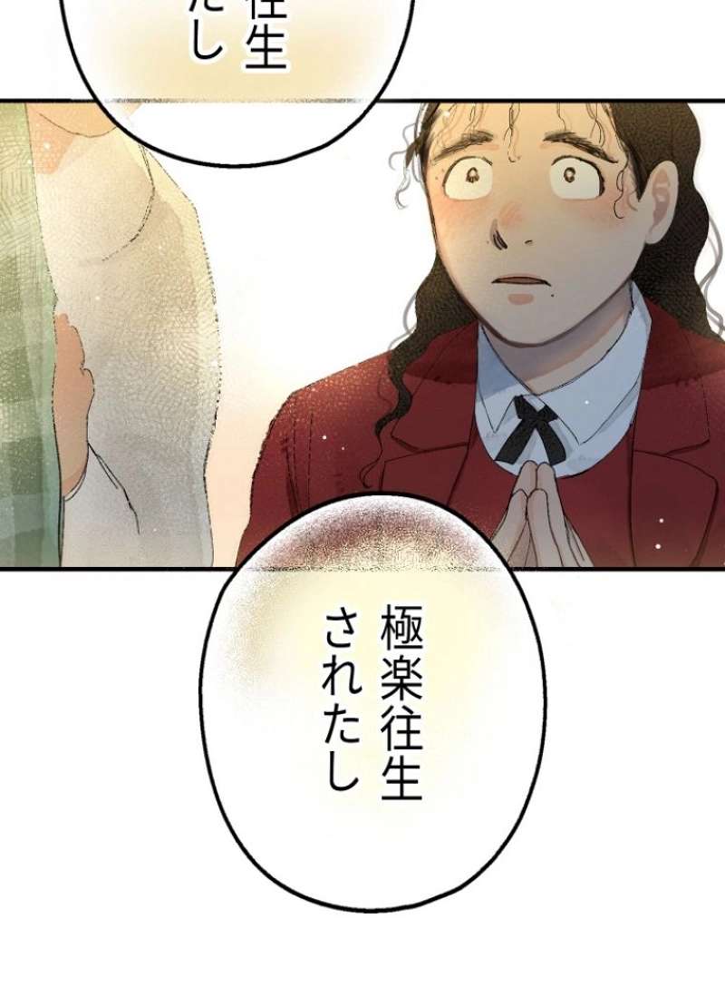 P44