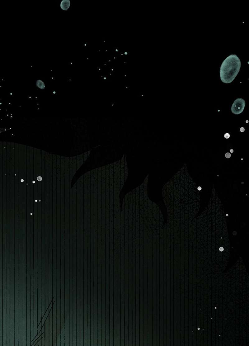 P163