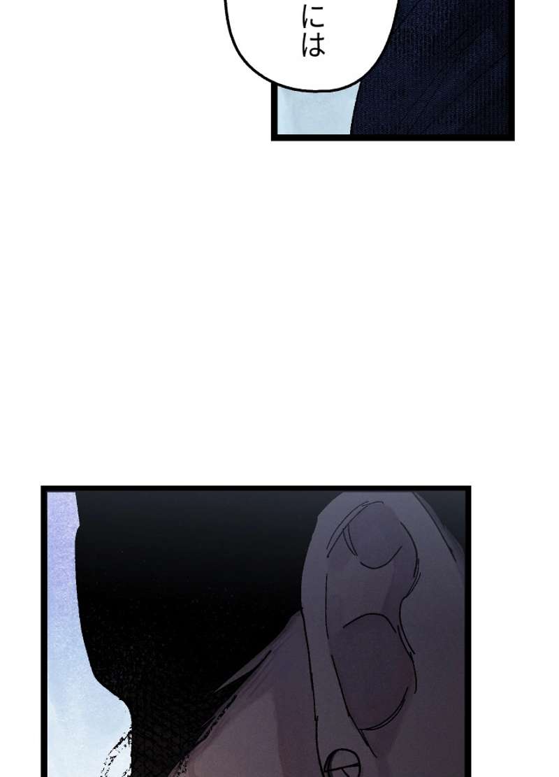 P53