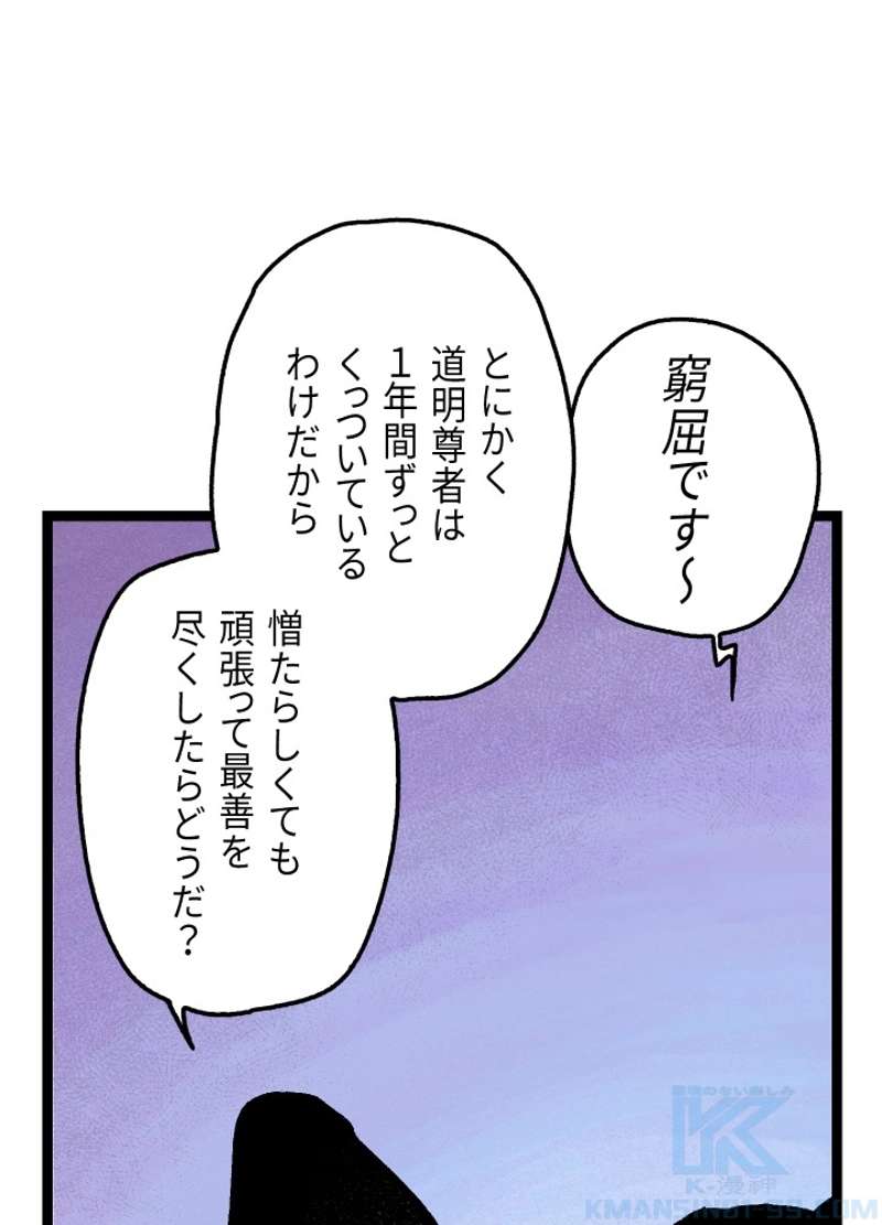 P66
