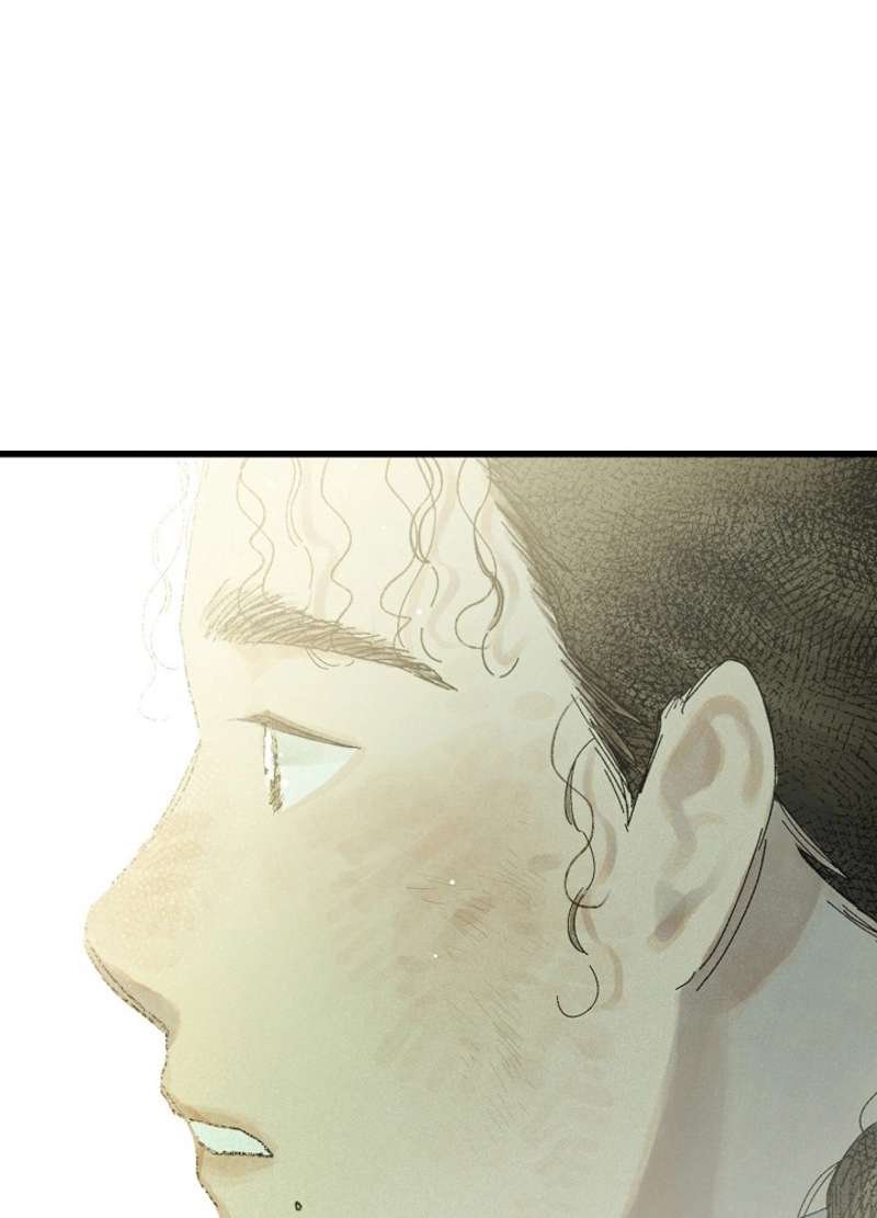 P264