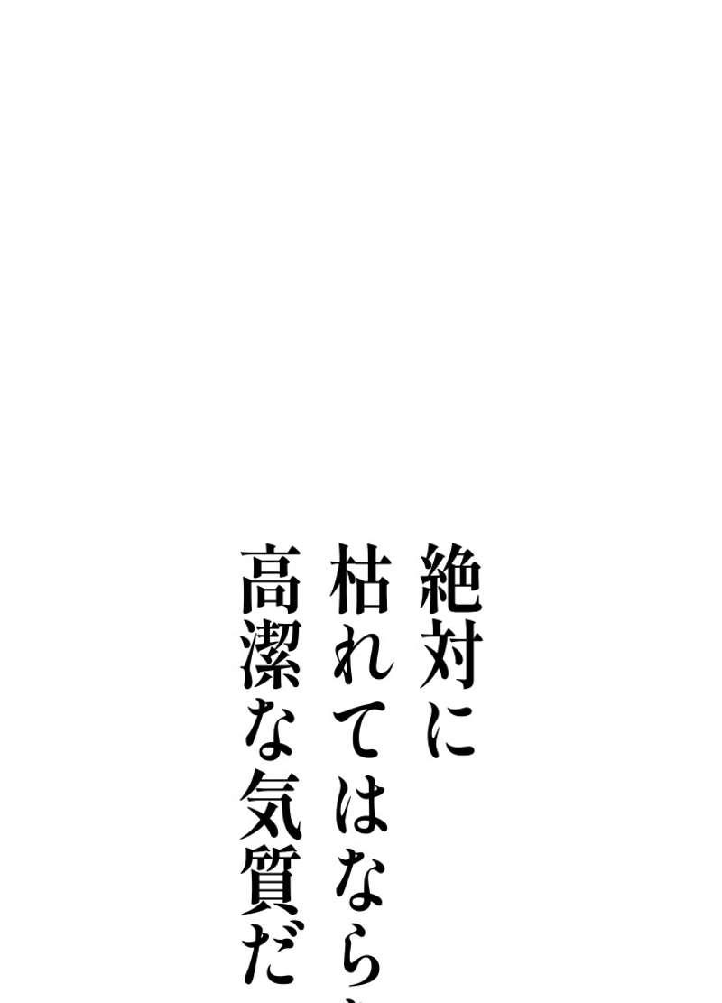 P291
