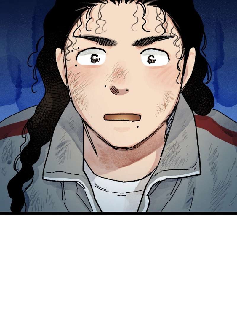 P53