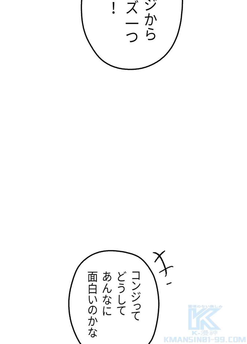 P48