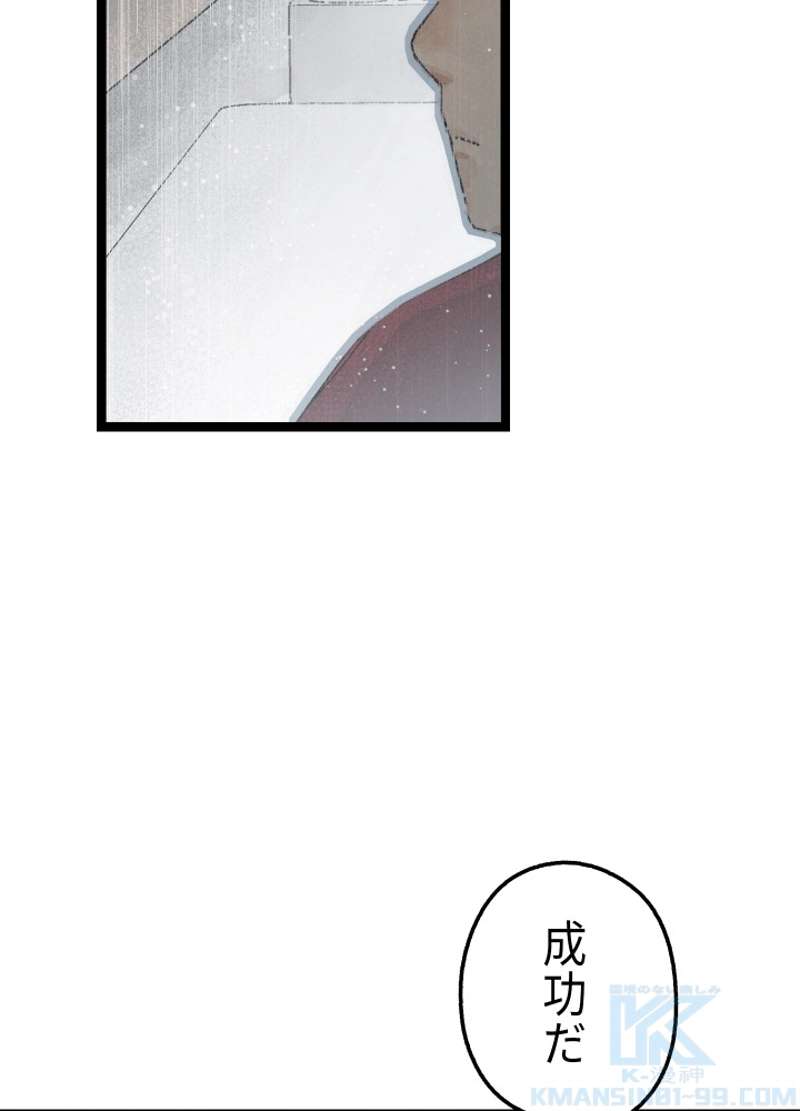 P61