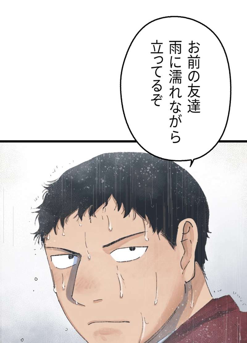 P63