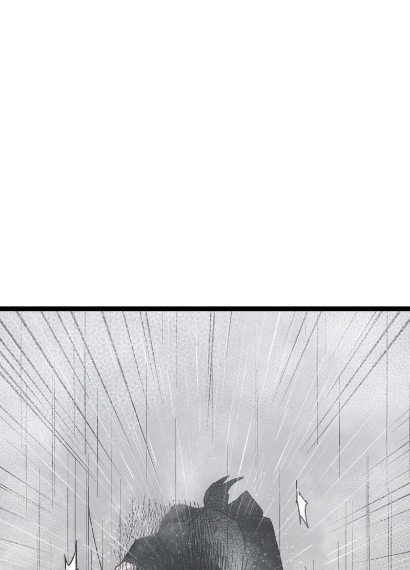 P81