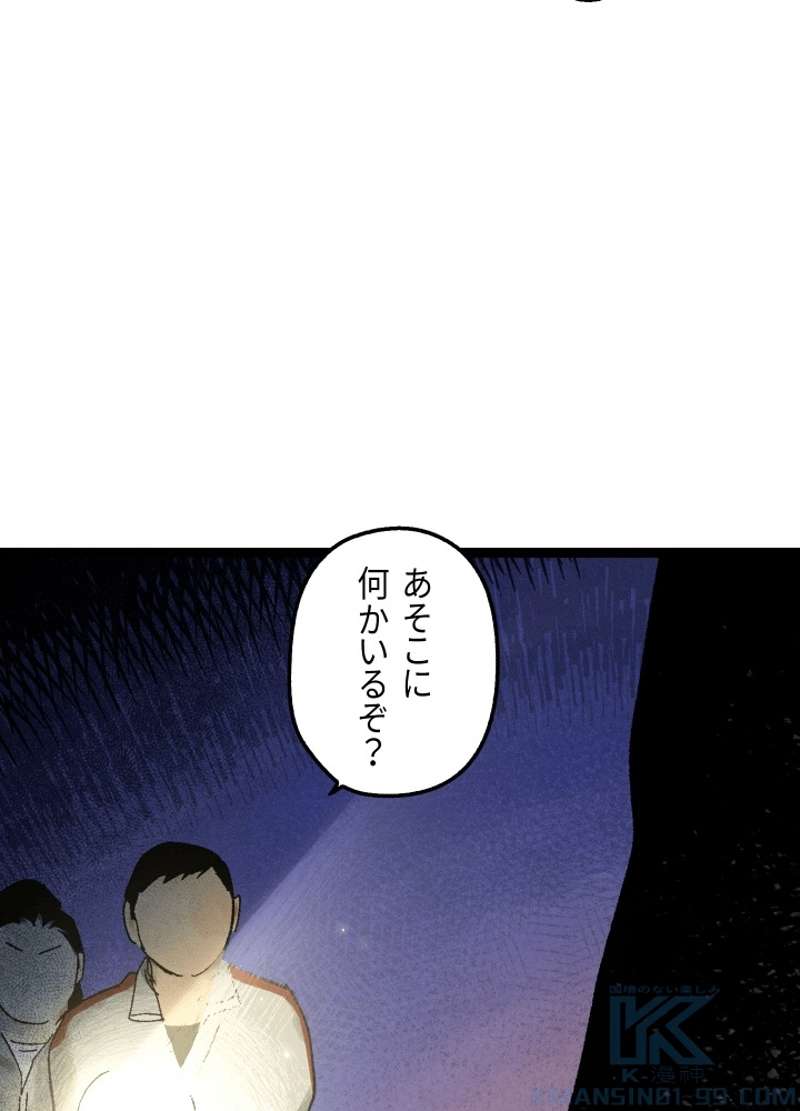 P133