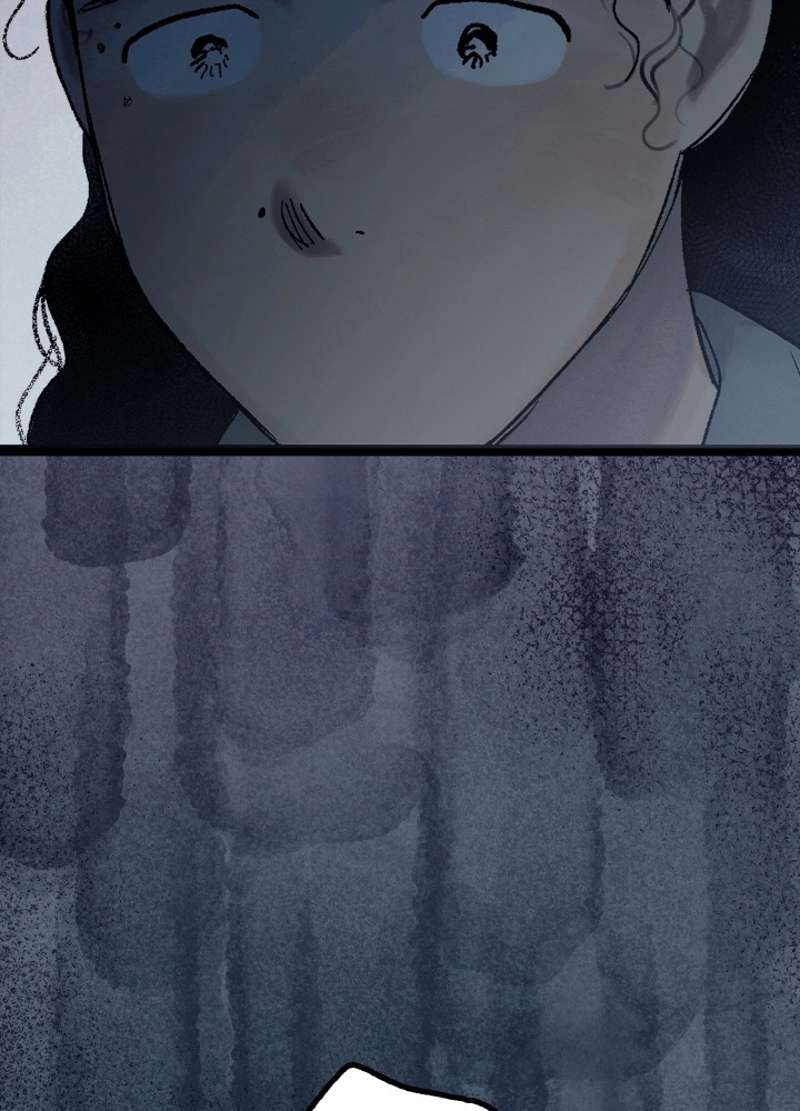 P206