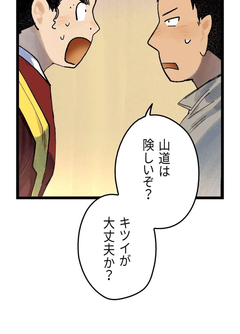 P53