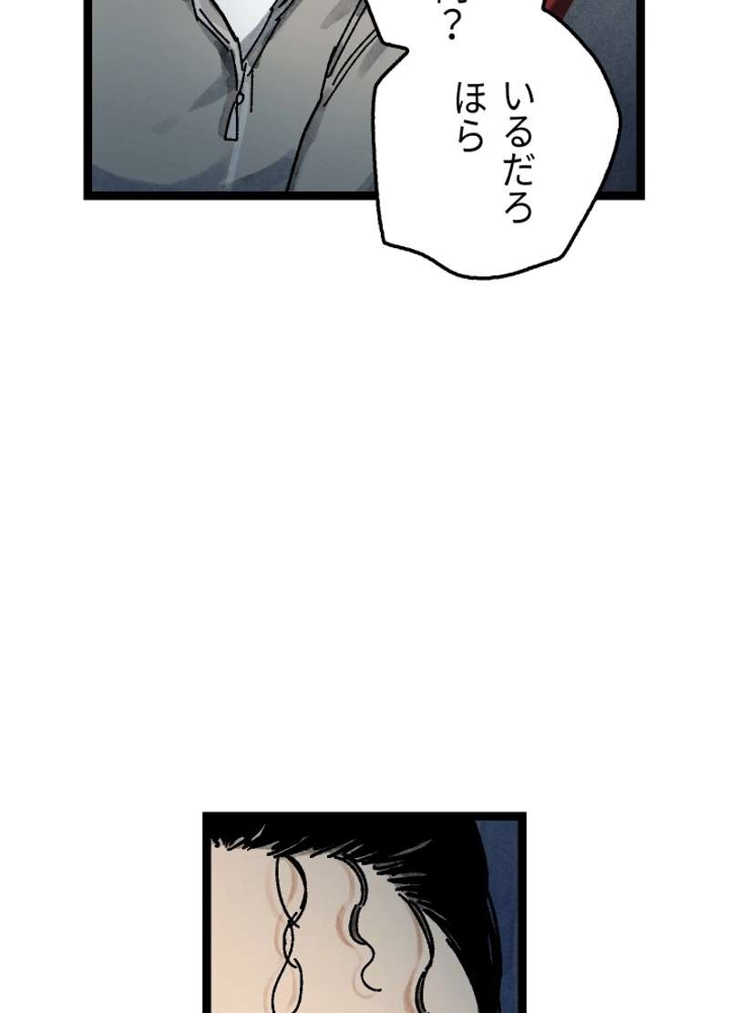 P65