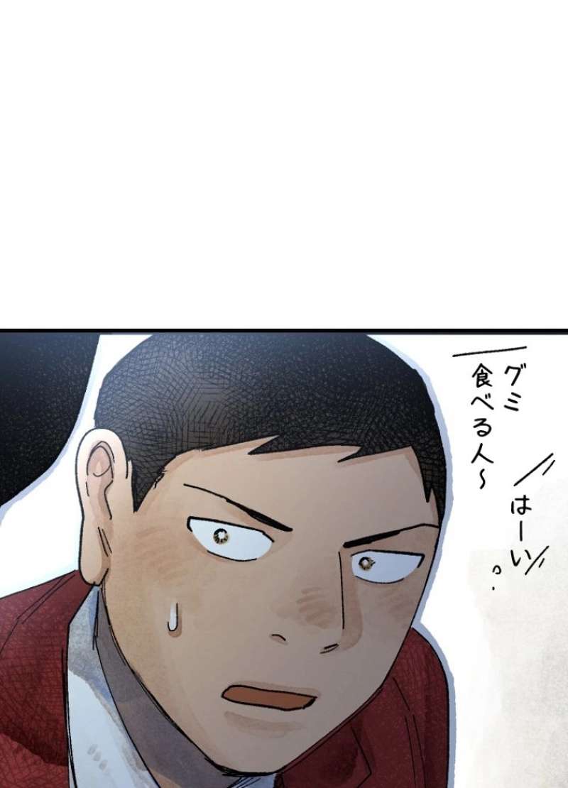 P66