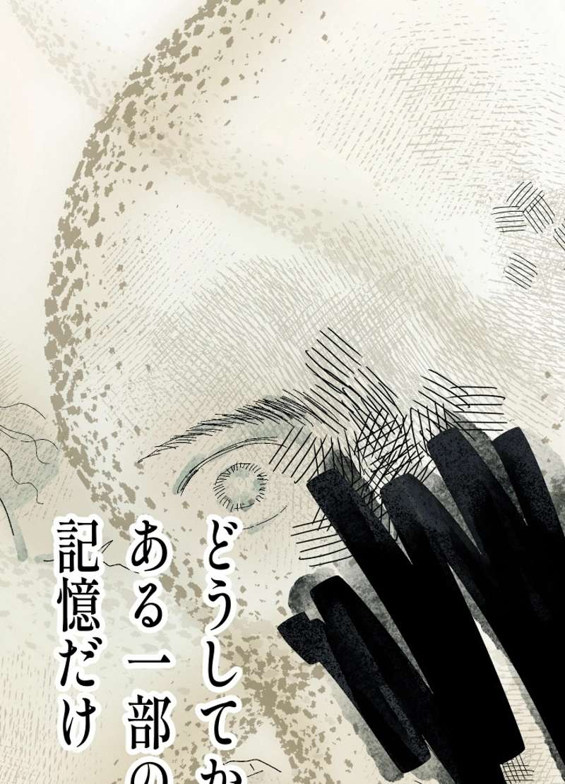 P66
