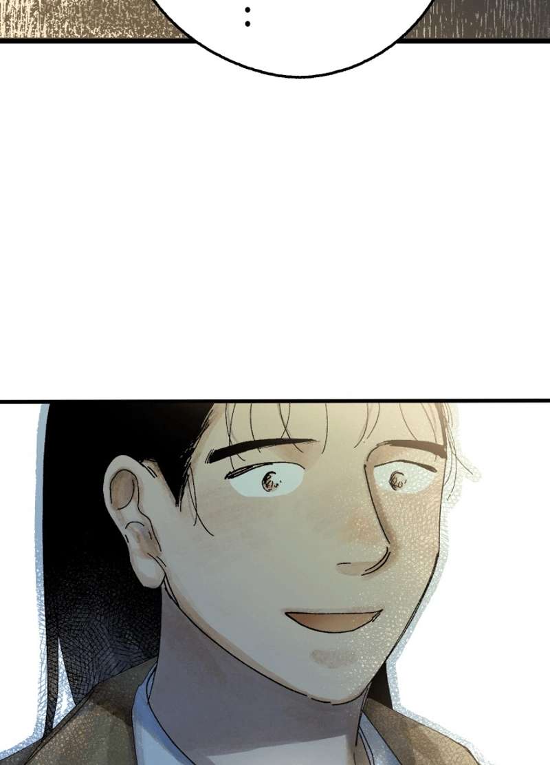 P86
