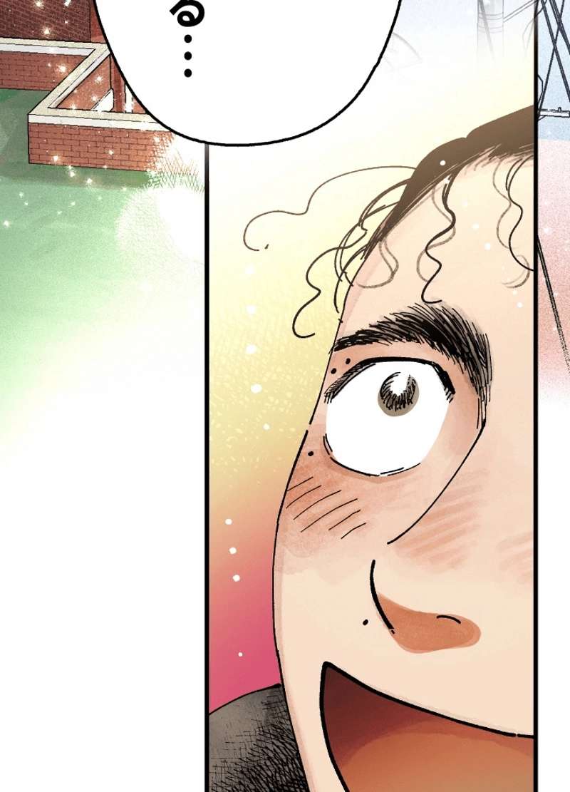 P63