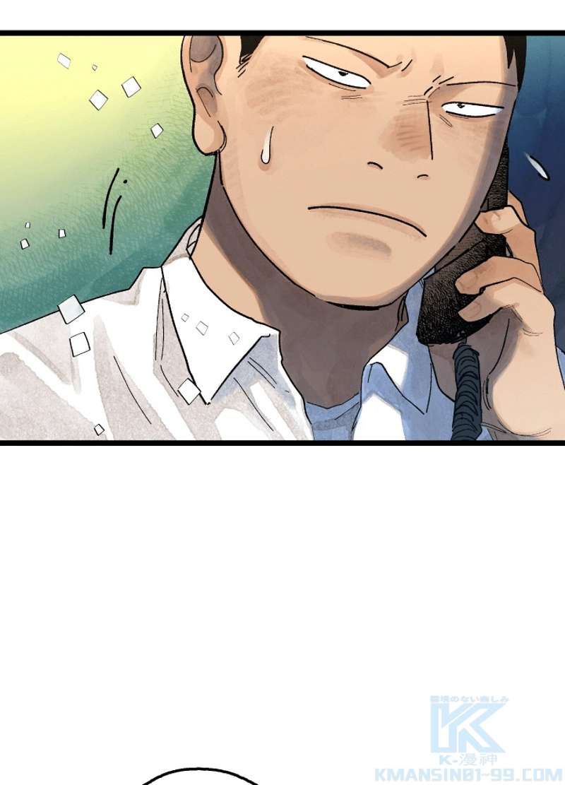 P73
