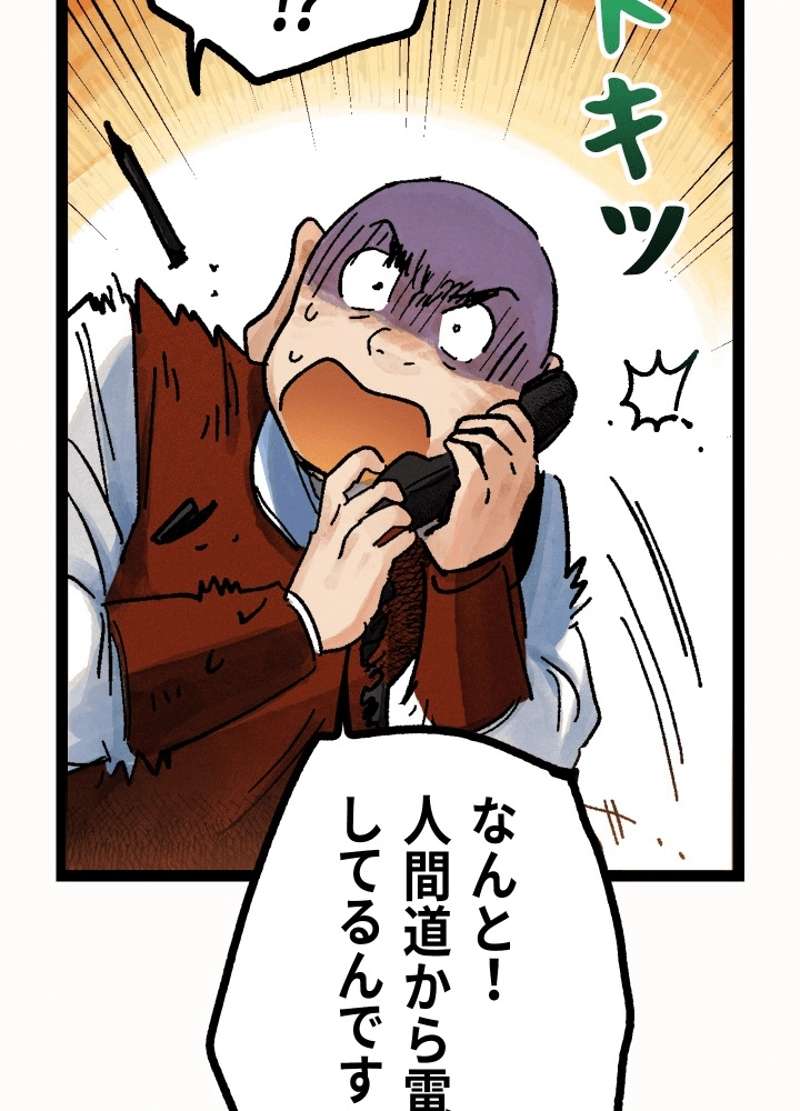 P81