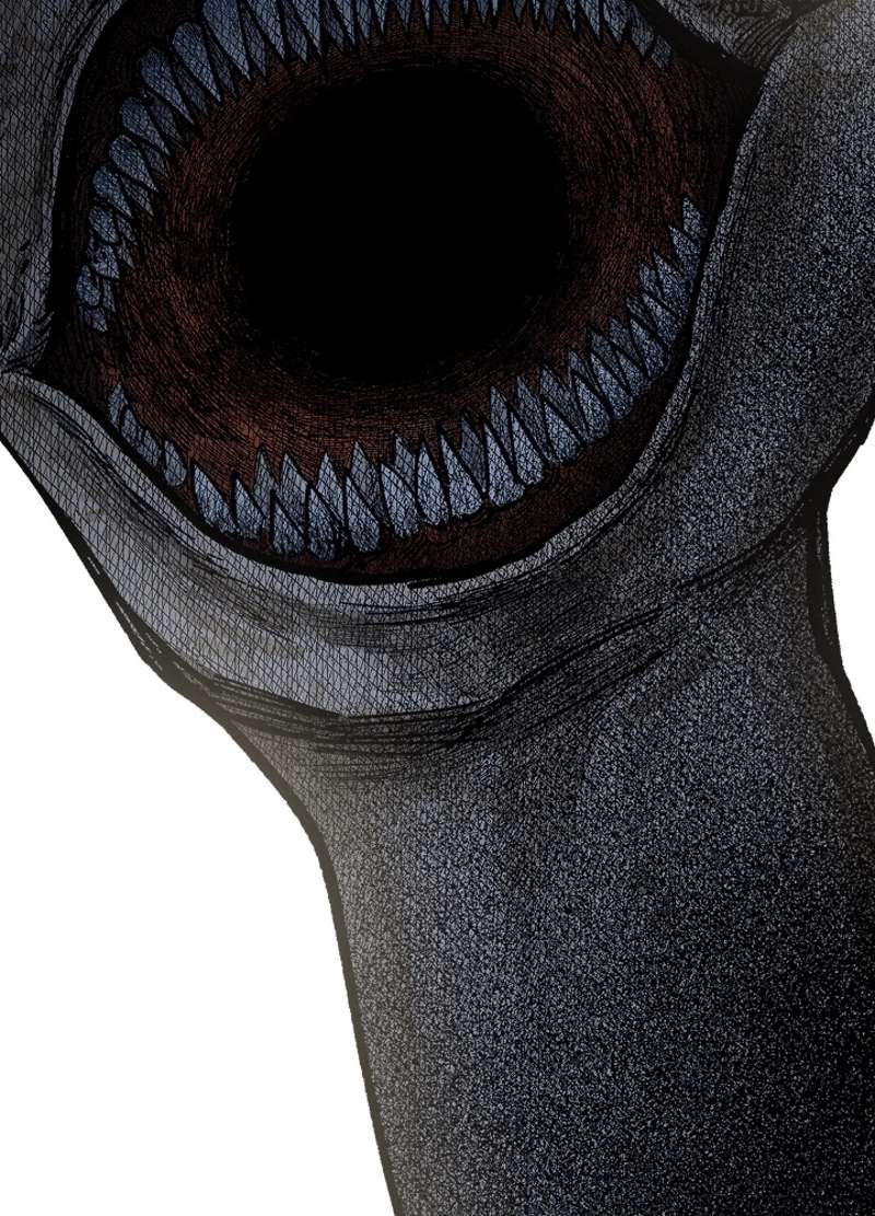 P155