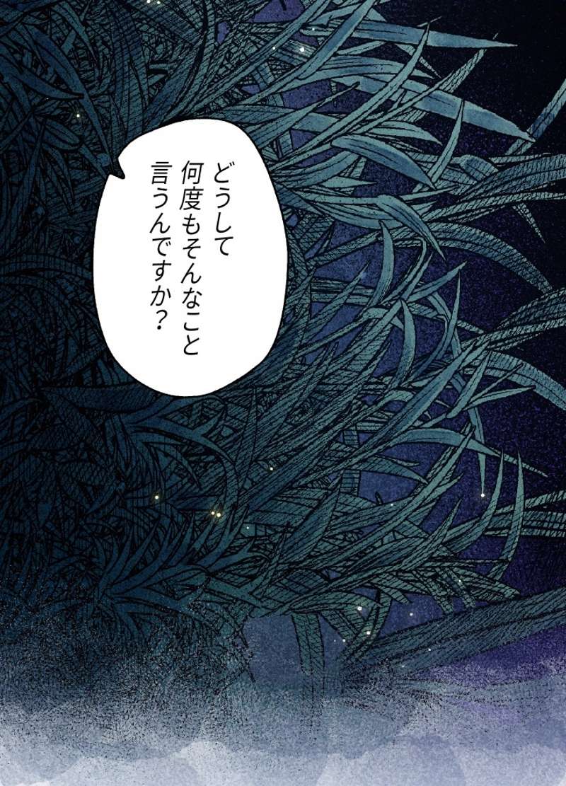 P61