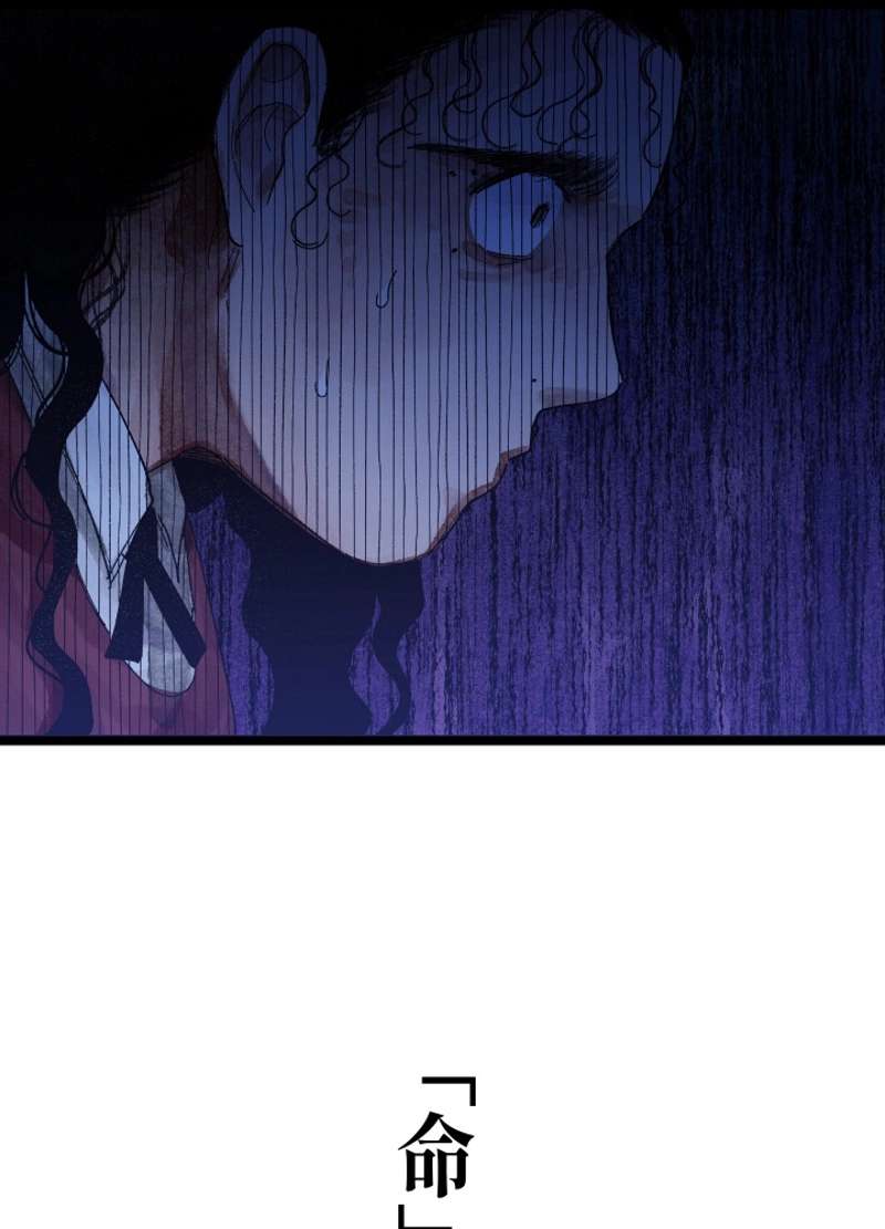 P65