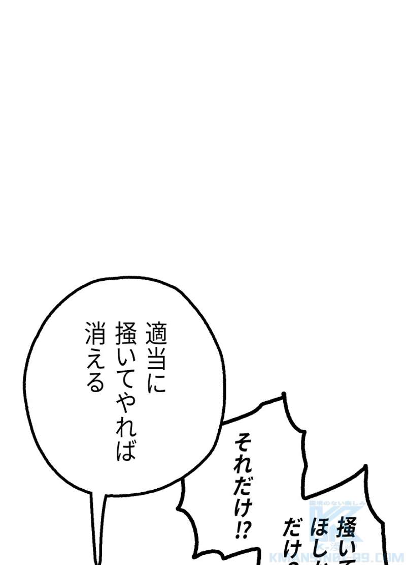 P97