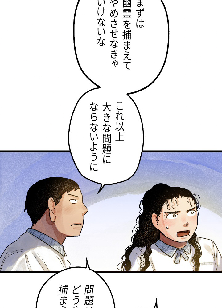 P66