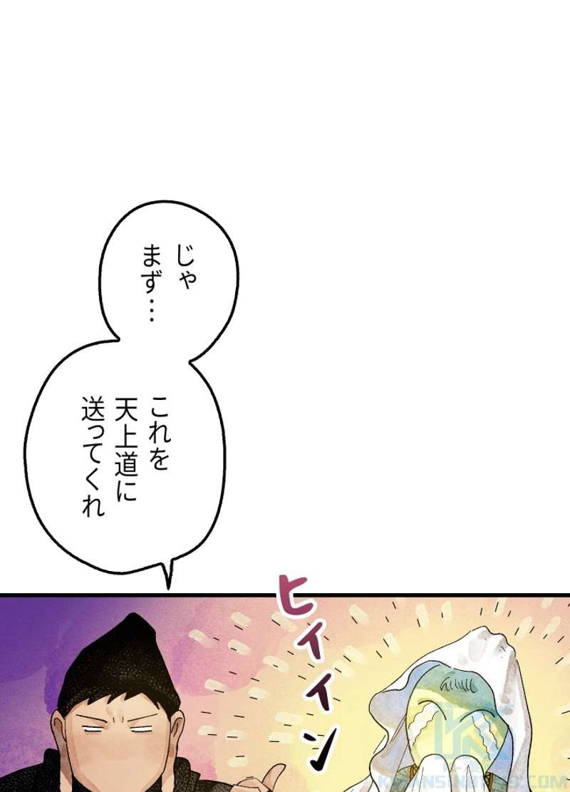P63