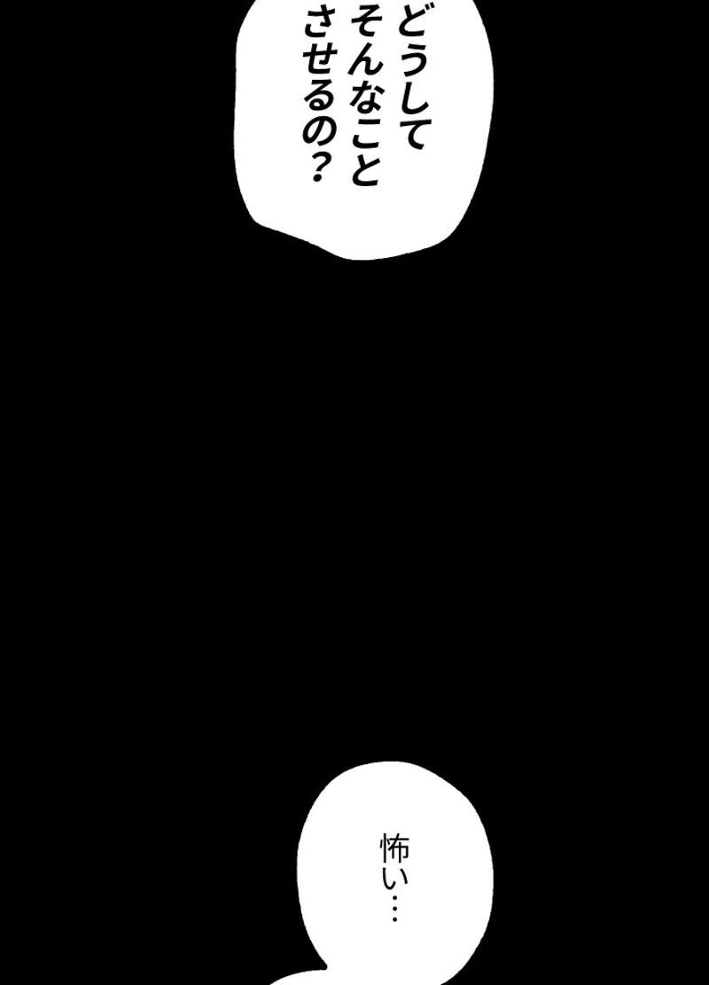 P53