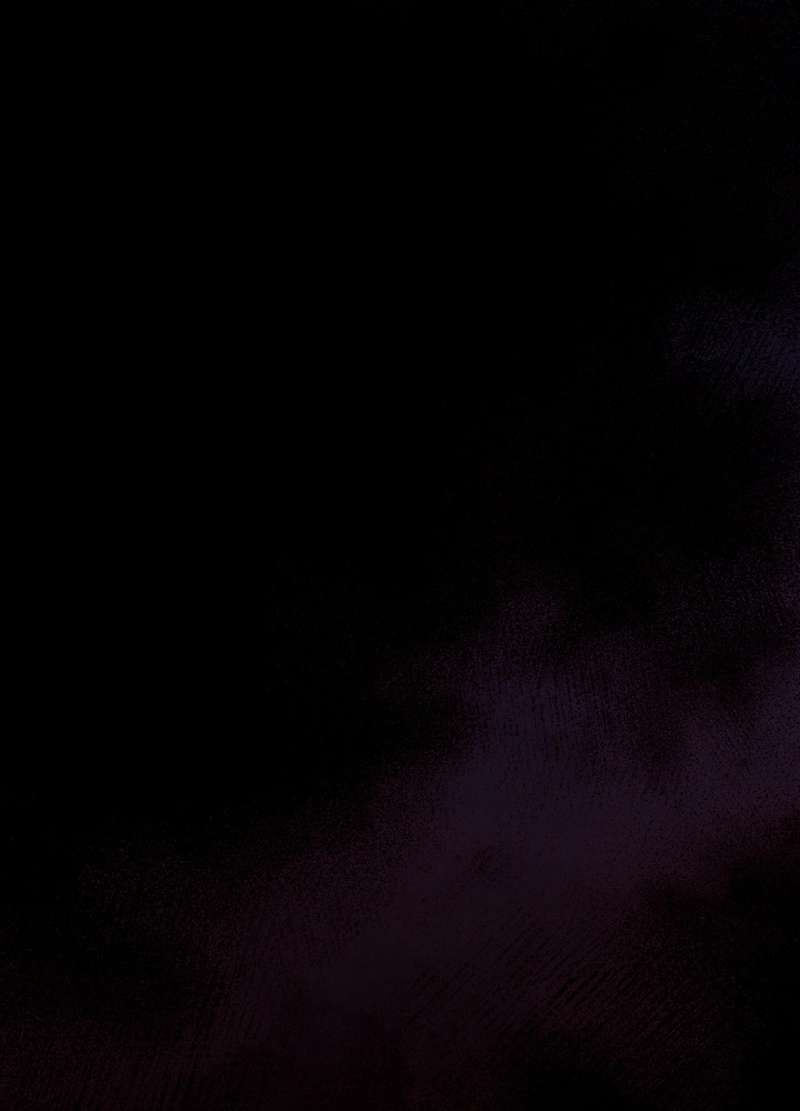 P248