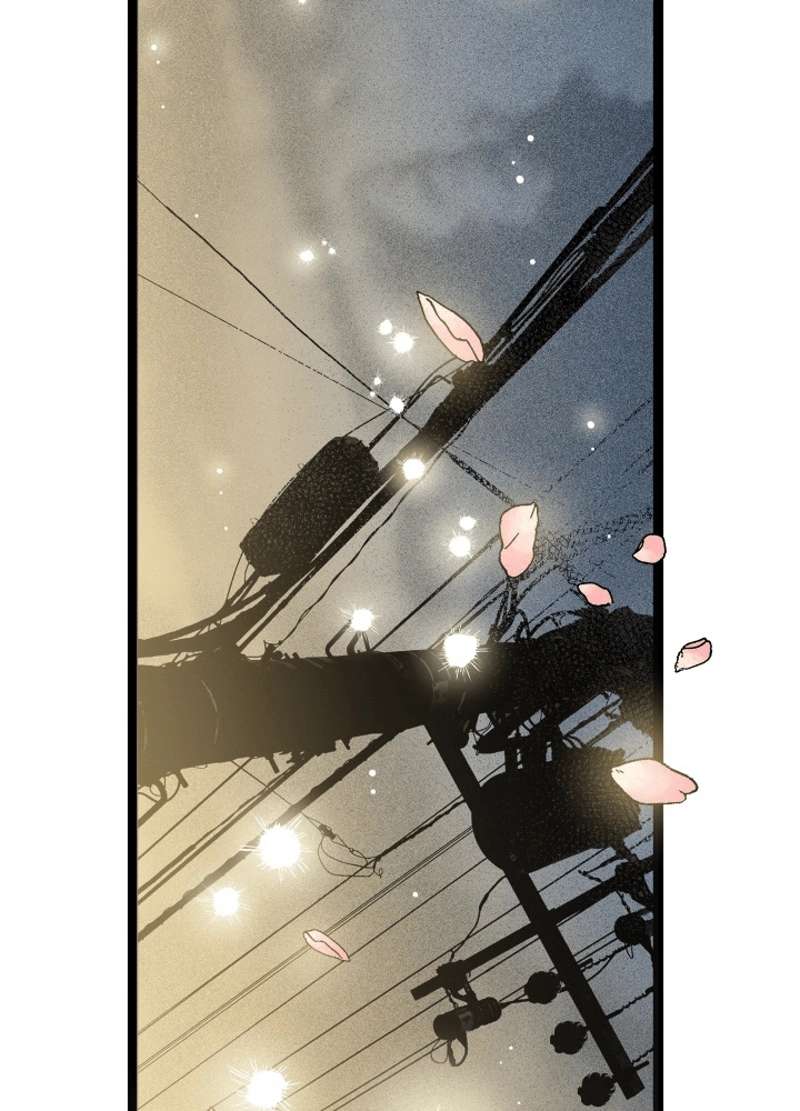 P102