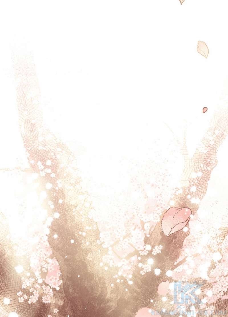 P97