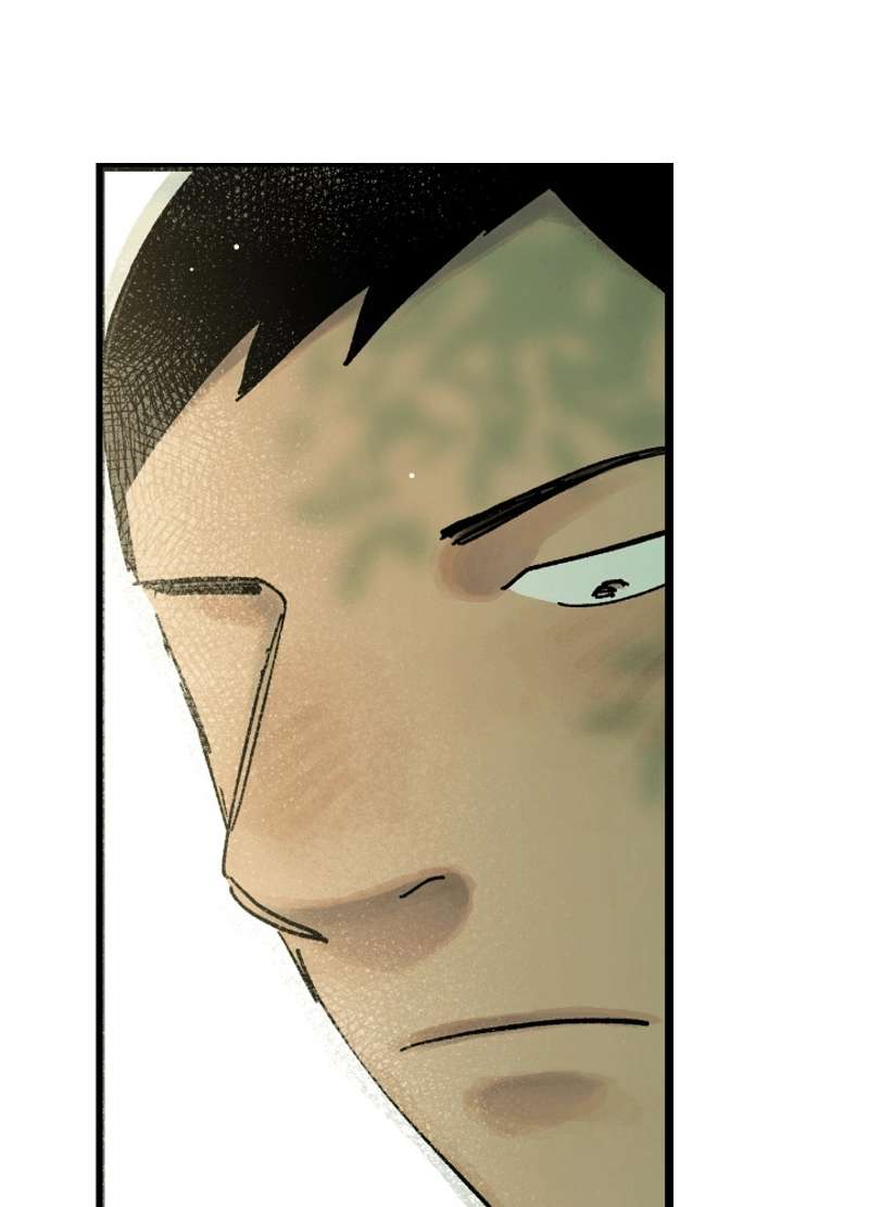 P213