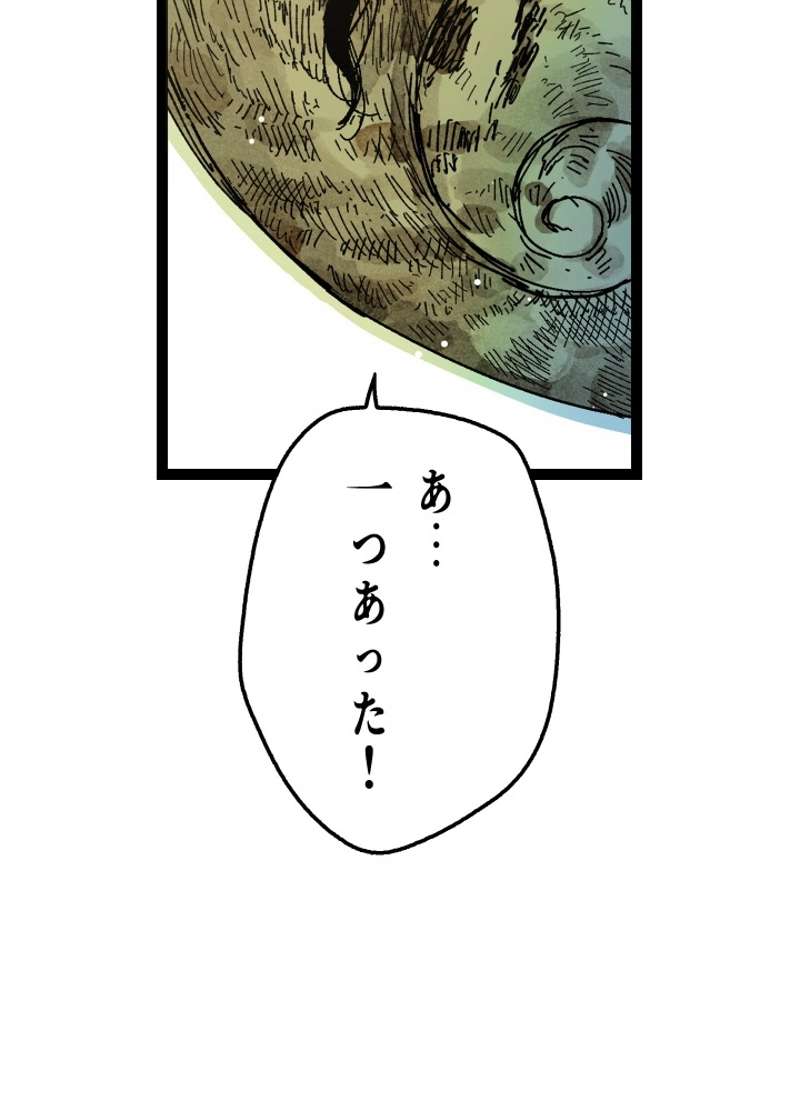P44