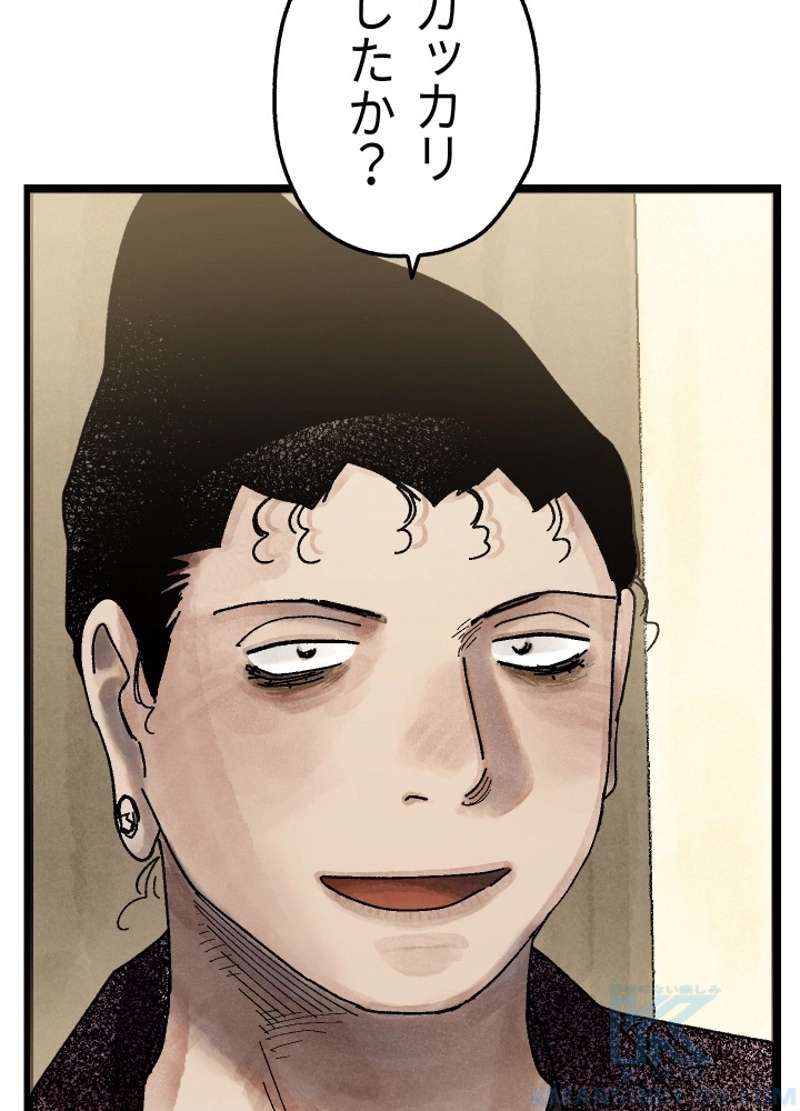 P66