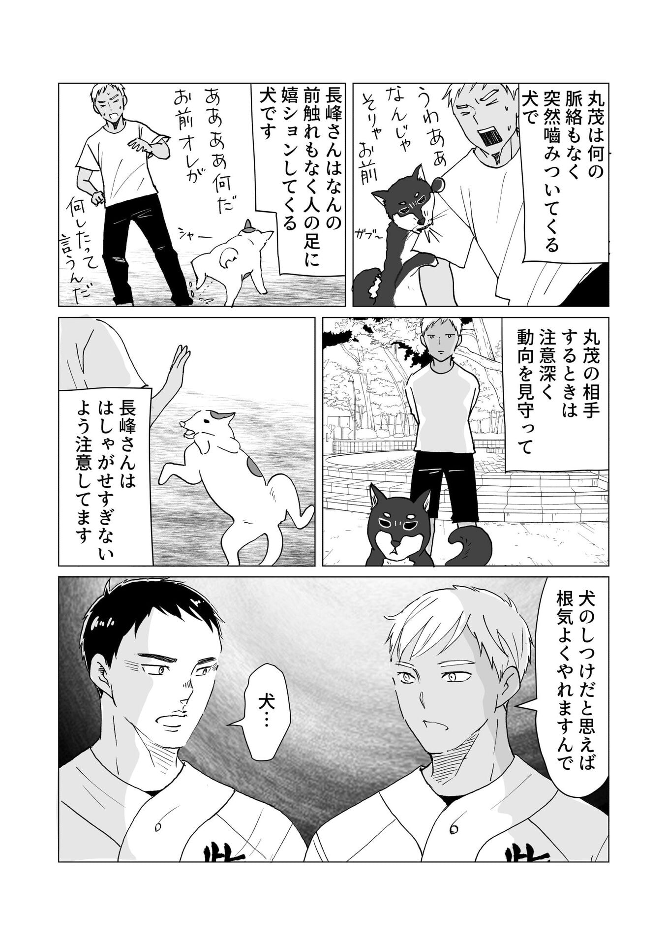 P58
