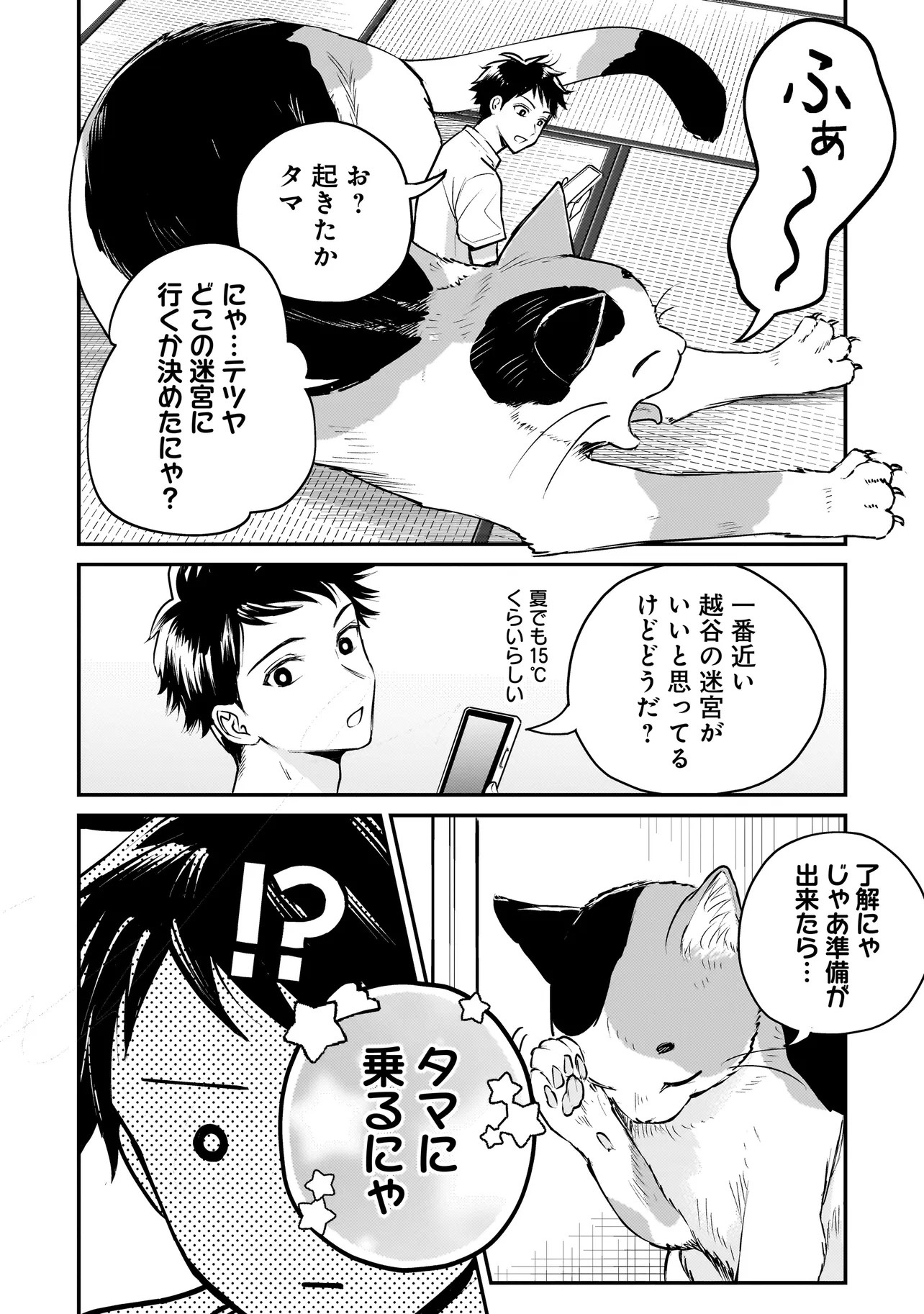 P20