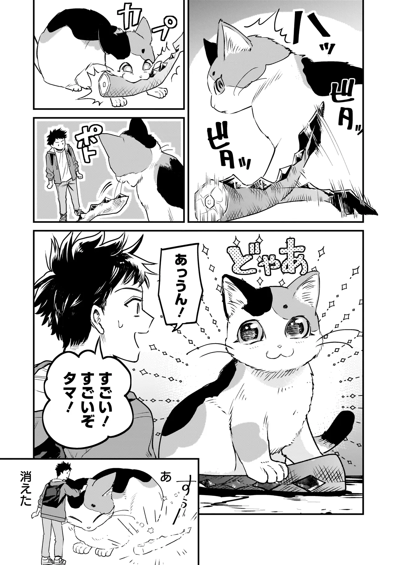 P53