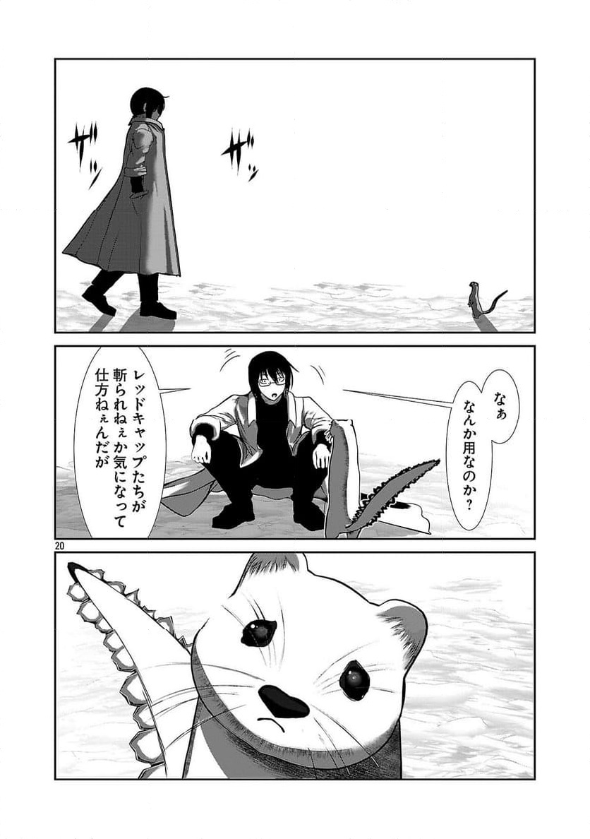 P20