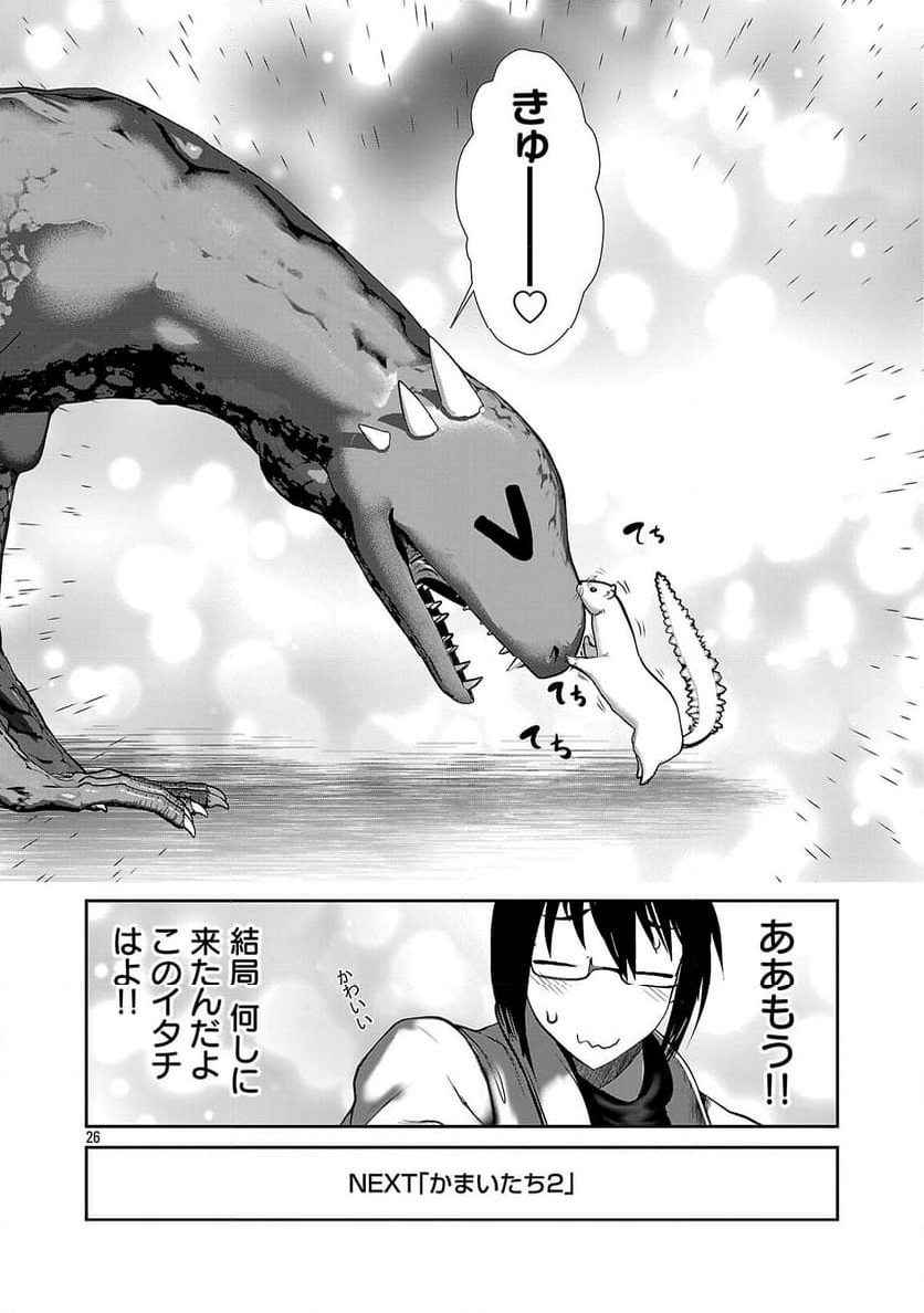 P26