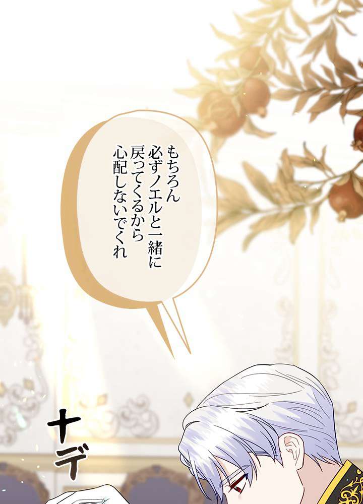 P81