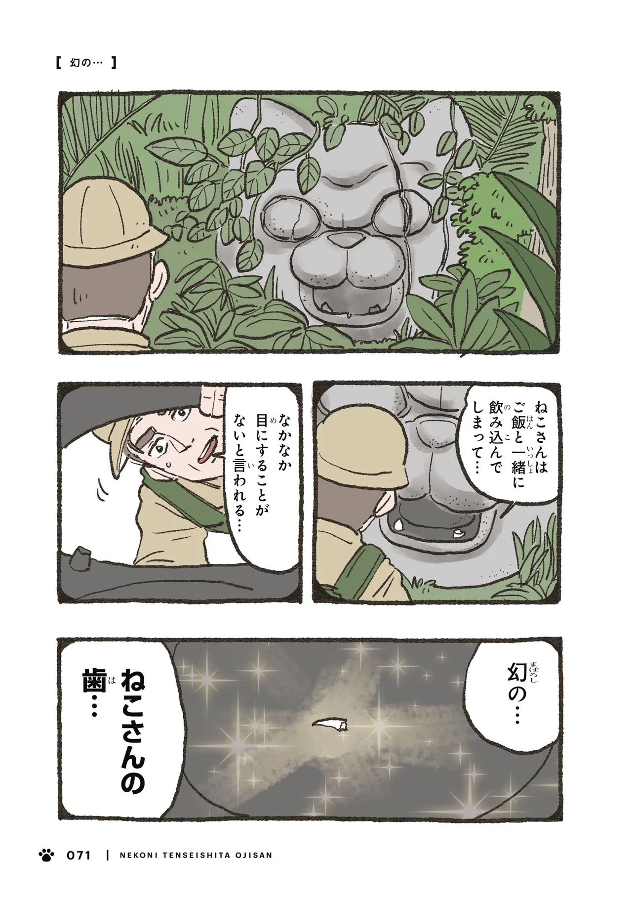P20