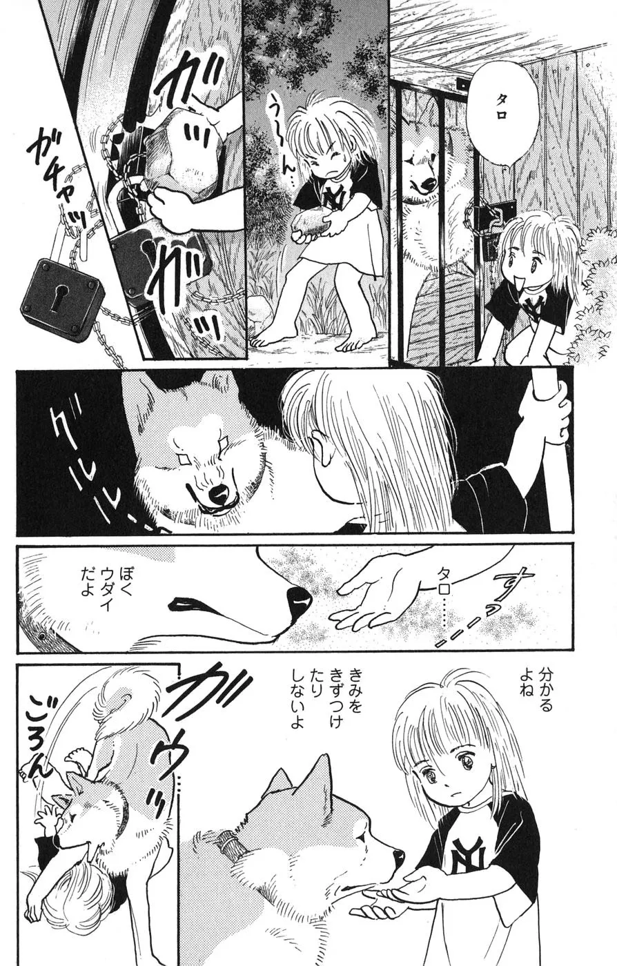 P36