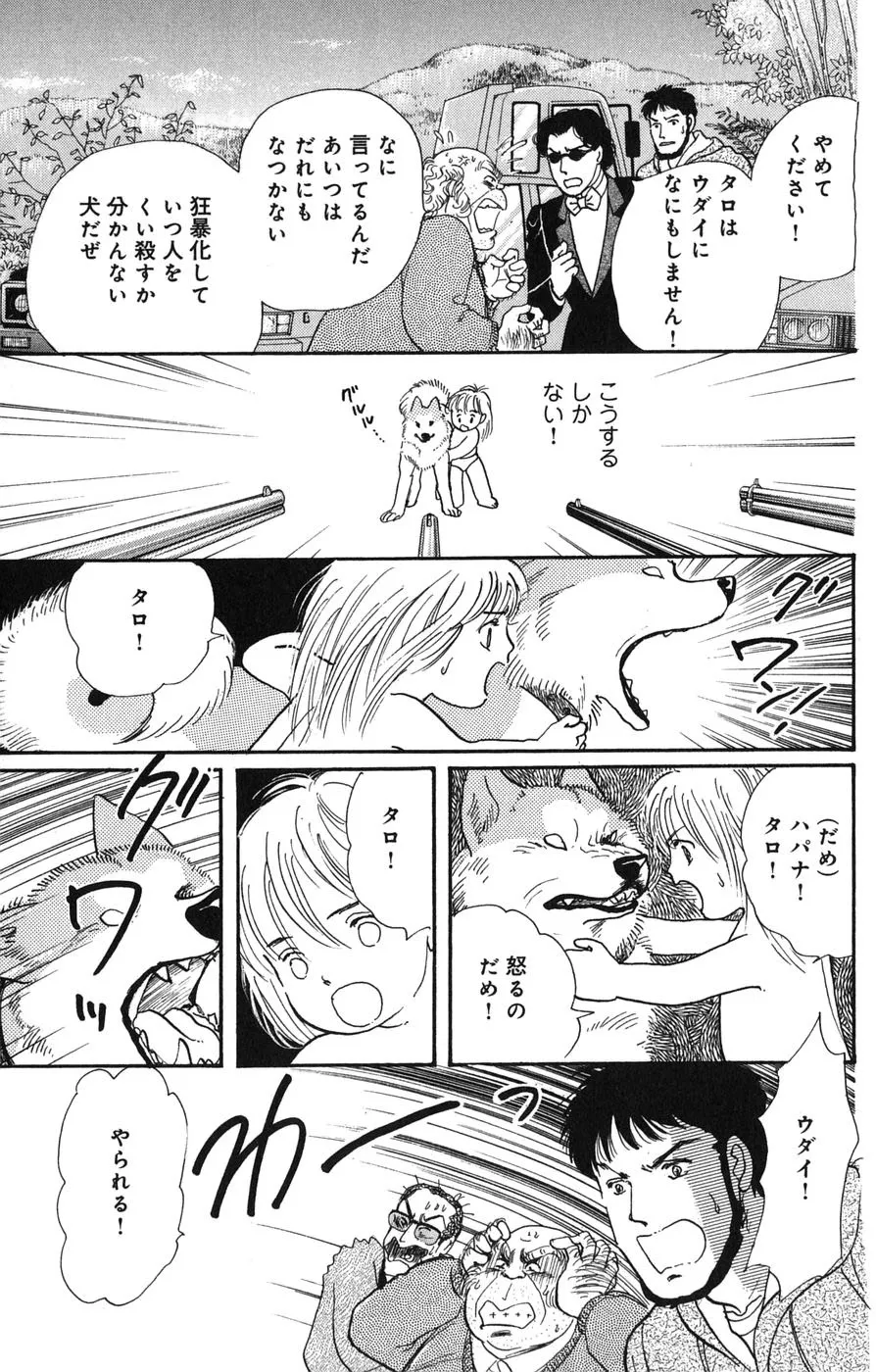 P44