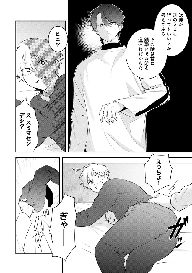 P20