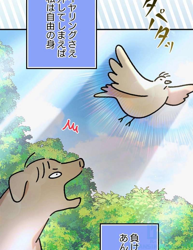 P109