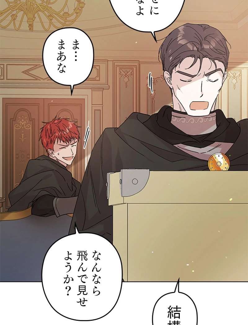 P61